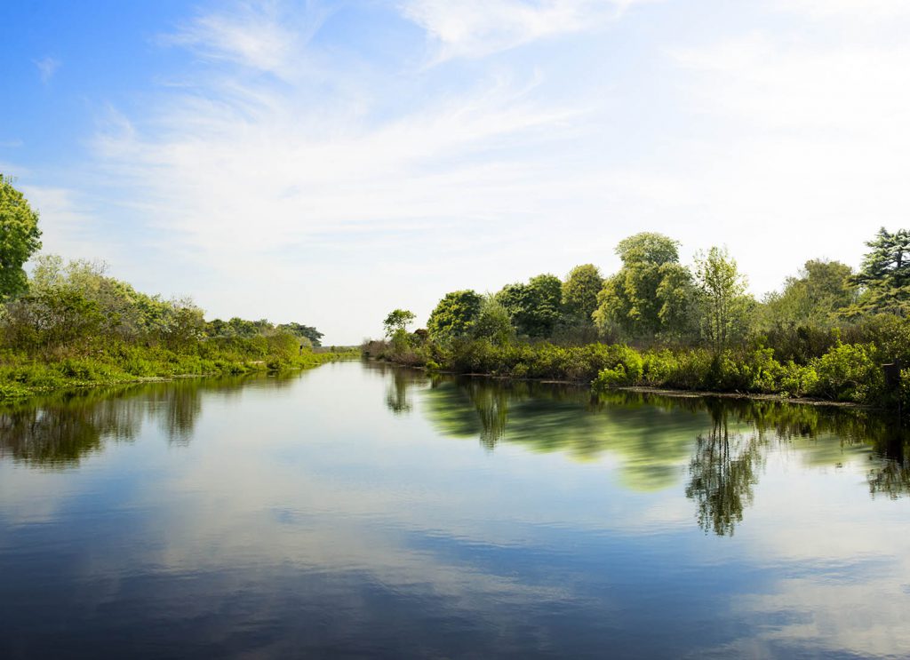 Water view look at Pine Meadows Conservation