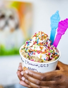 Eight Lake County ice cream spots you must try this summer