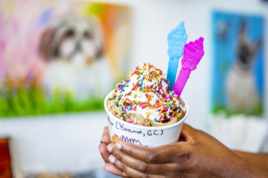 8 Lake County ice cream spots you must try this summer