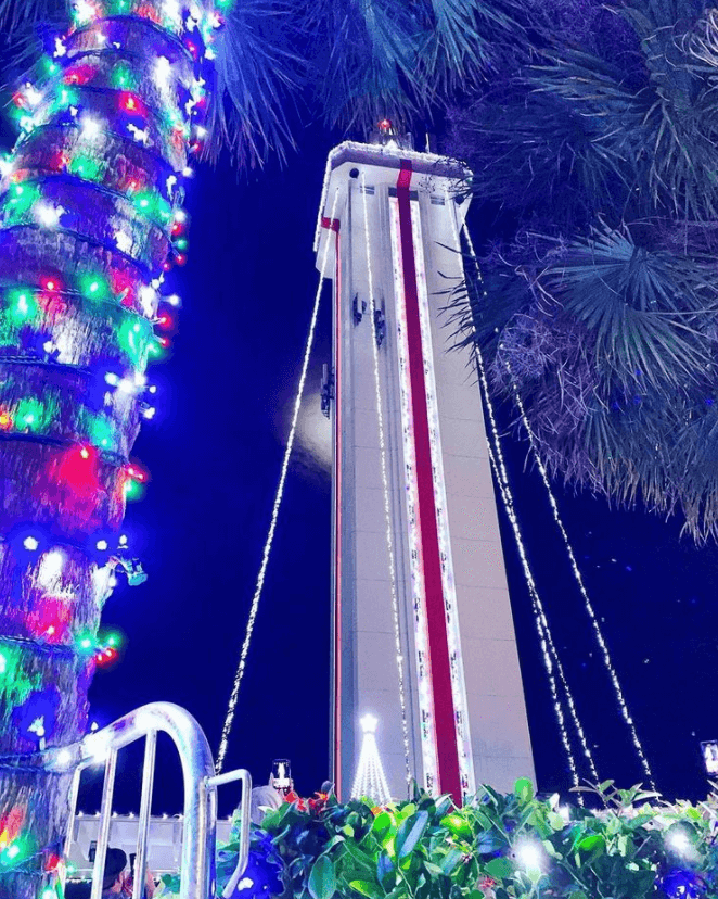christmas lights, palm tree, looking up at citrus tower at night