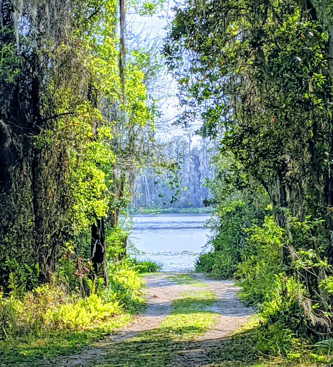 Dirt road leading to a lake with trees on either side of the road.