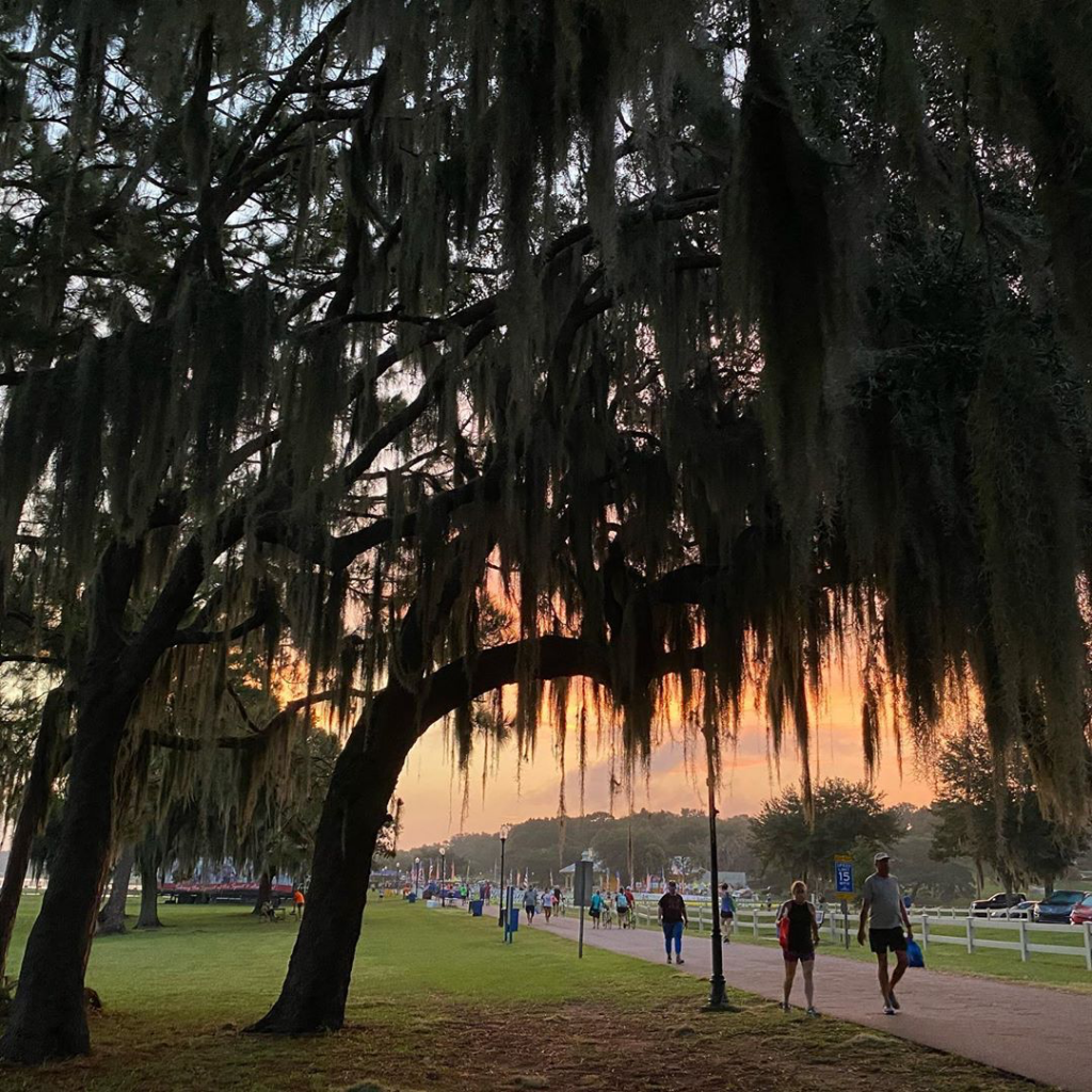 Large oak trees with draping spanish moss overhang a paved walking trail with walkers using trail at dusk