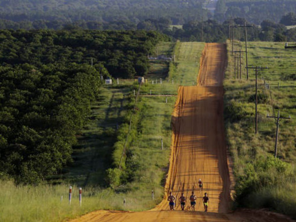 A small group of runners on a clay road with rolling hills with orange groves next to the road.
