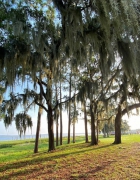 Top 10 Running Spots in Lake County, FL