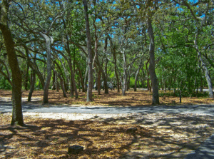 clearwater lakes, campground, RV