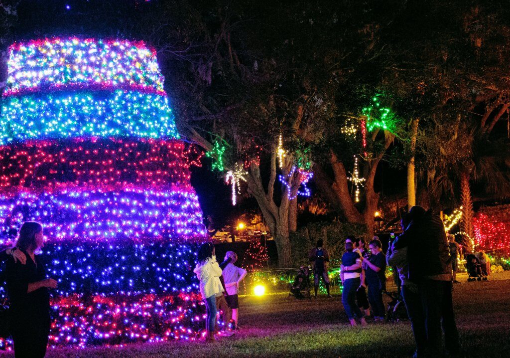 christmas tree and lights