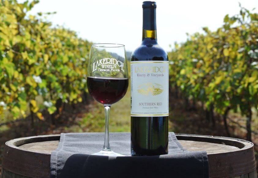 Photo of a glass of red wine and a bottle of red wine within the vinyards at Lakeridge Winery.