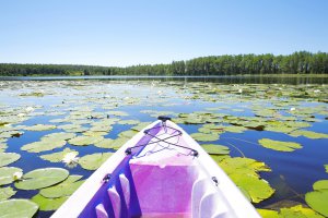 View from a kayak on Lake Louisa.