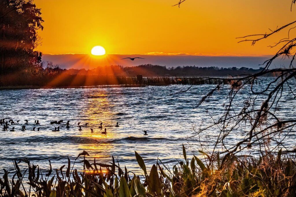 Photo of Lake Dora from Palm Island Park, Mount Dora.