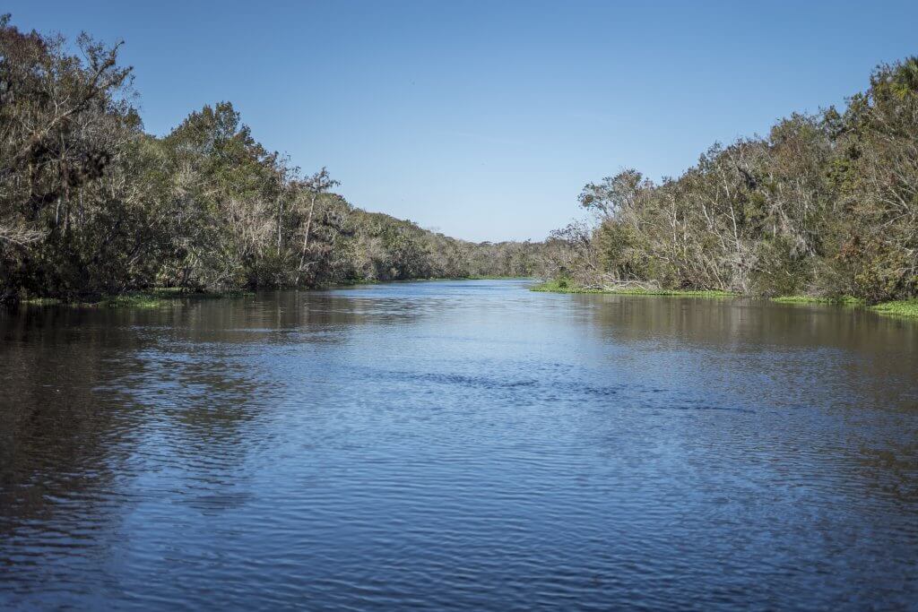 St. Johns River near Astor.