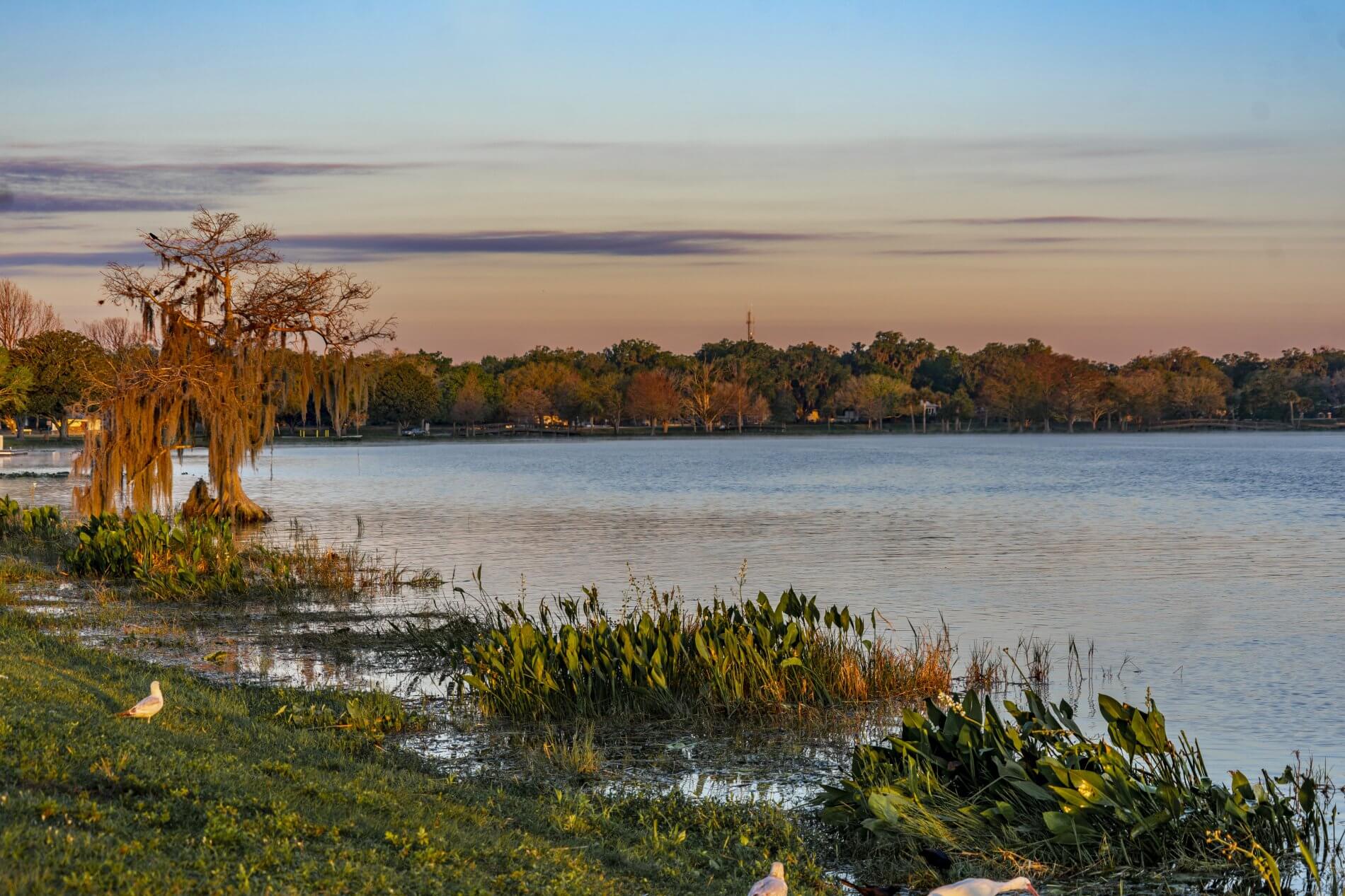 Insider’s Guide to Leesburg – Visit Lake – Lake County, FL Tourism Blog