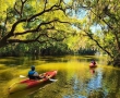 Find These Unique Experiences in Lake County, Florida