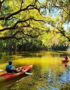 Find These Unique Experiences in Lake County, Florida